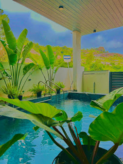 Pool area surrounded by tropical plants with hill views